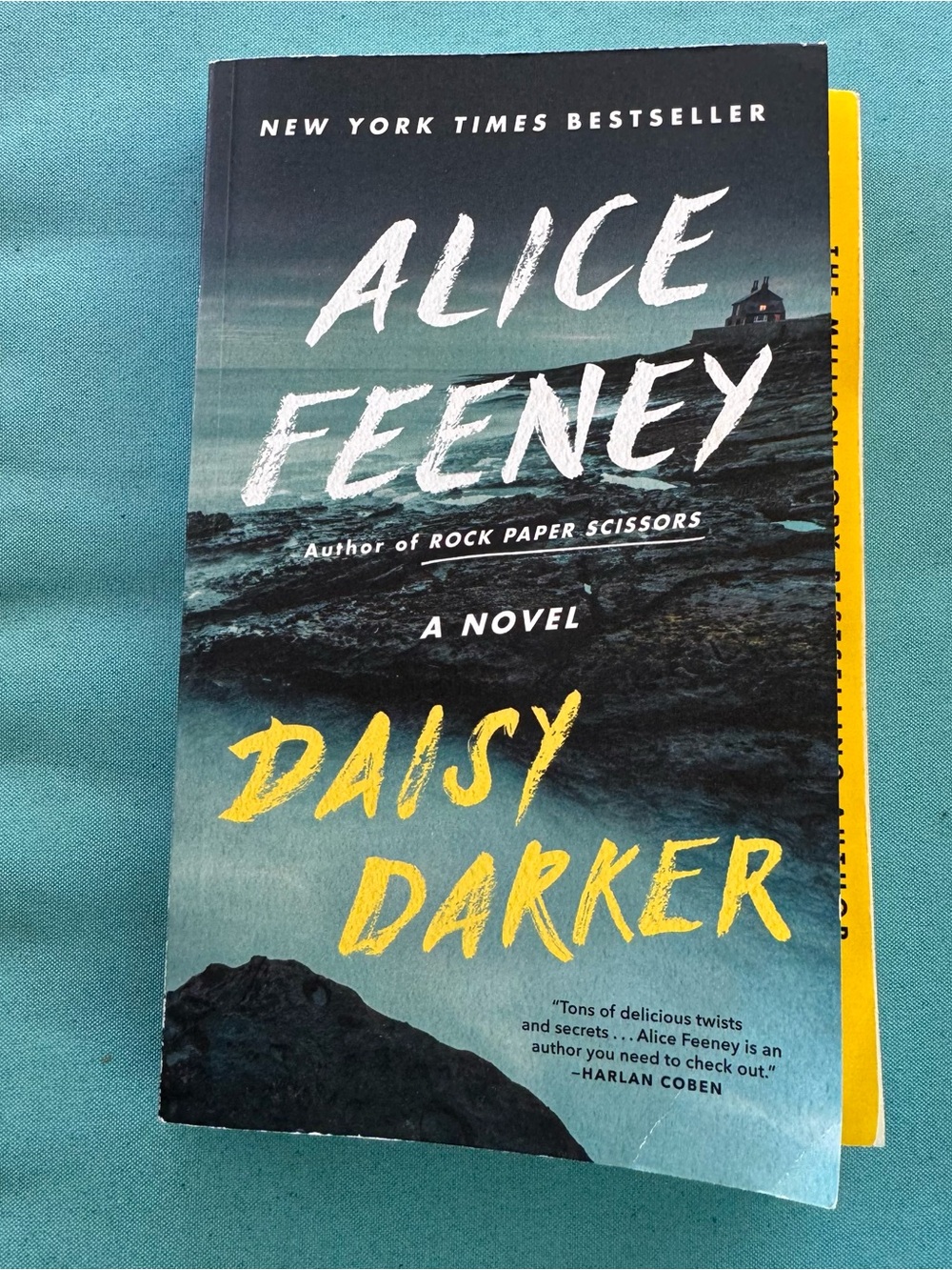 Daisy Darker Paperback Novel - by Alice Feeney
